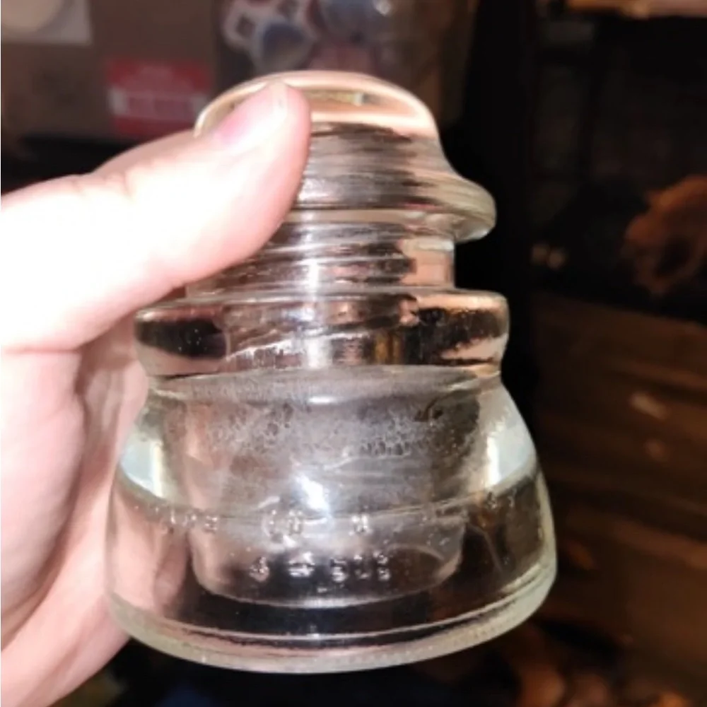 Clear Glass Dog Bowl Insert – Transparent